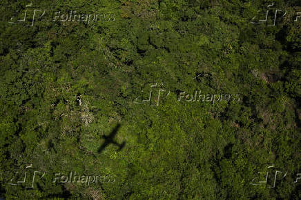Avião sobrevoa a floresta da Terra Indígena (TI) Trincheira Bacajá, em Altamira, (PA)